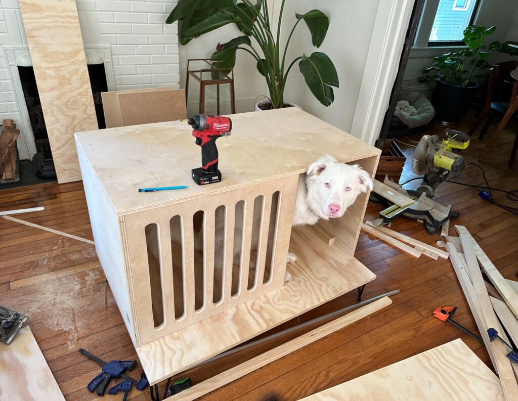 Custom Built Dog House Under Construction