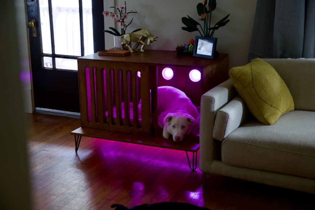 Dog House with LED Lights On