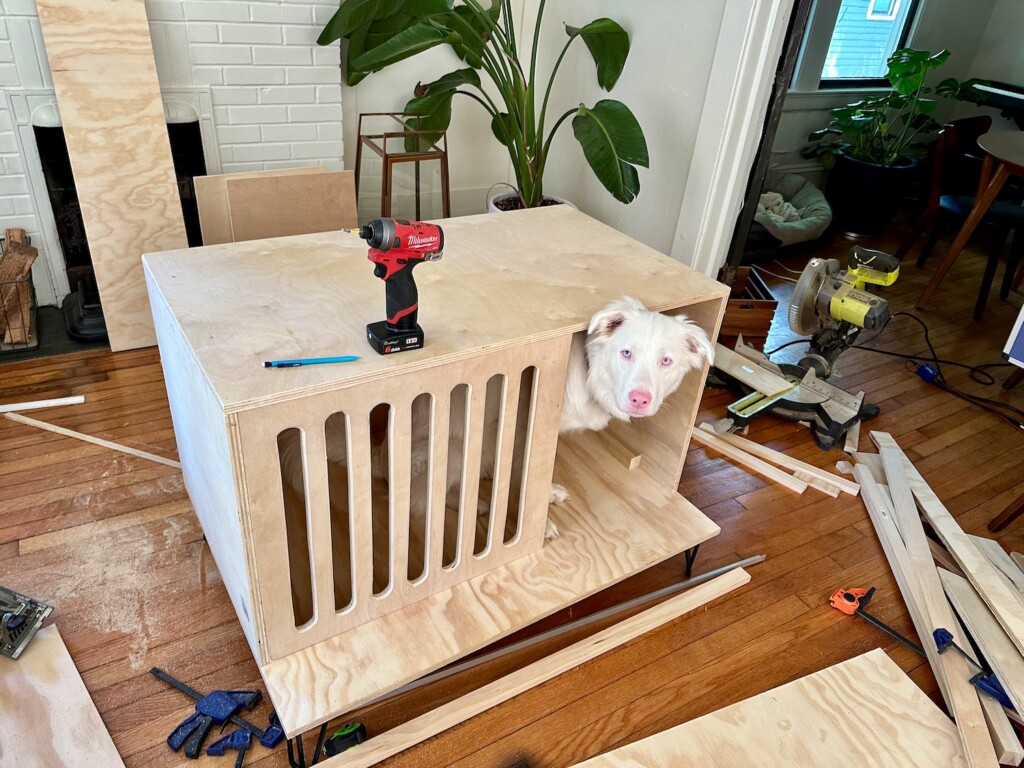 DIY Dog House Under Construction