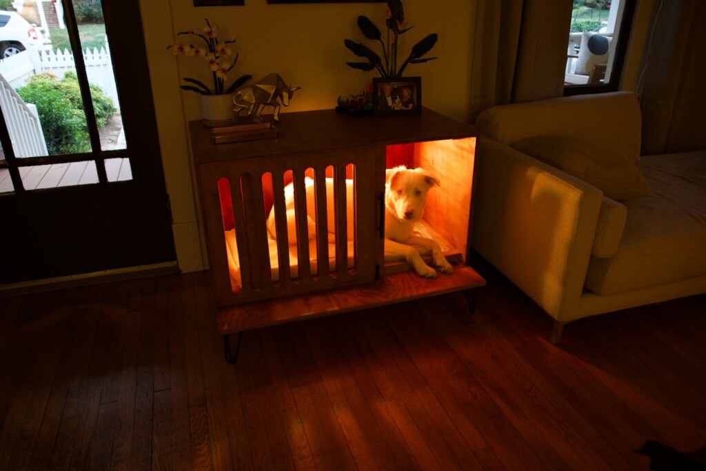 Mid-Century Modern DIY Dog Kennel